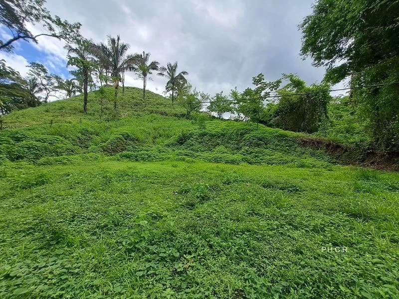 LOT SAN FERNANDO: San Fernando lot - 1024 m² building plot - affordable - flat - 10 minutes drive from Samara - photo 2