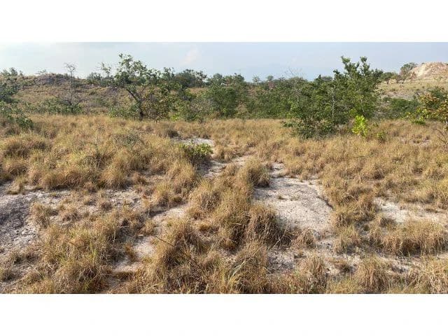 Zoning for homes, apartments, and warehouses in the mountains of Liberia, Beautiful 9.7 ha land with building permits - photo 5