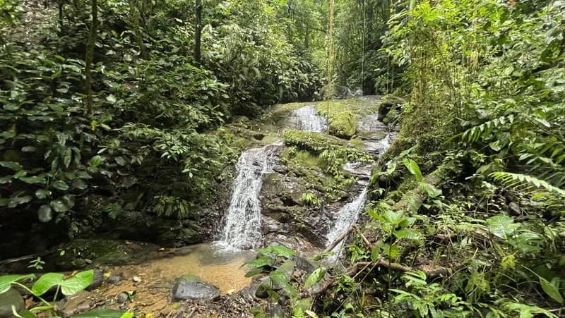 116-Hectare Finca for Sale Near Uvita with Whales Tail Views and 10 Waterfalls | La Faralla, Bahia Ballena, Uvita, Puntarenas, Costa Rica - photo 75