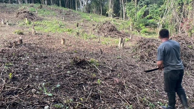 Beautiful Property for Sale in the Mountains of San Juanillo – Prime Land with Building Potential Just 10 Minutes from the Ocean - photo 11