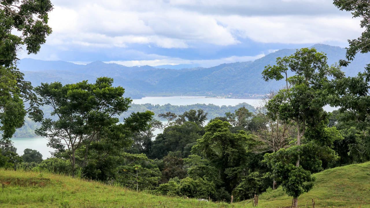 Unique Development Property Overlooking the Pristine Golfito Bay and Golfo Dulce - photo 41