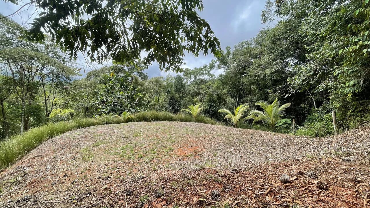HALF ACRE LOT IN PLATANILLO, MINUTES TO THE BEACH OF DOMINICAL - photo 5