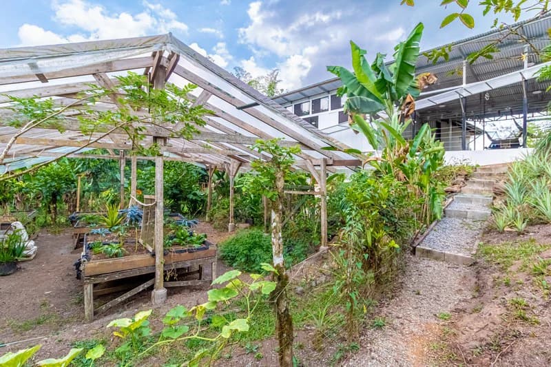 Casa San Pedrito: Beautiful house for sale in San Pedrito,(1,3hect) Perez Zeledon - photo 5