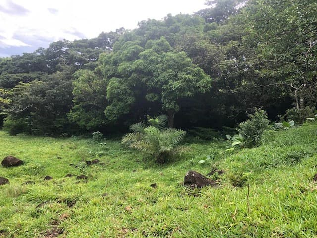 Warm Spring Mountain Property in a tropical landscape and antique wooden house, 50 minutes from Liberia city - photo 6