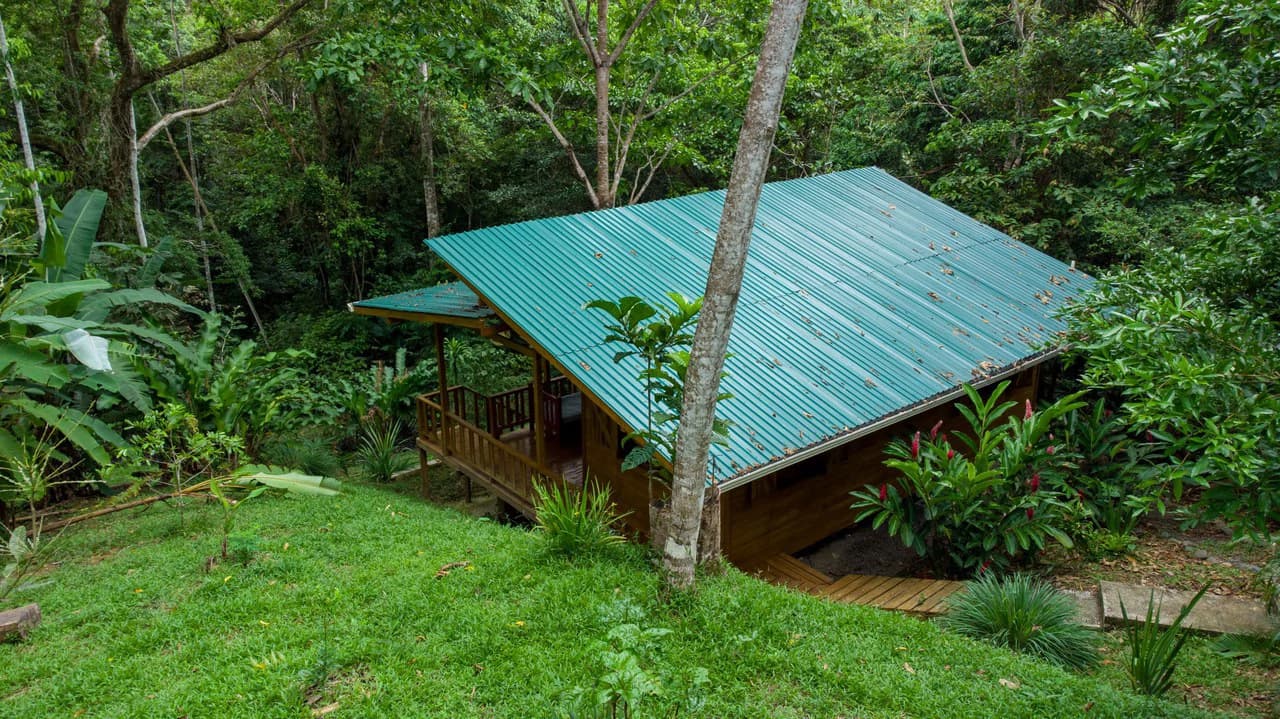 4 Bd/3 Ba - Two Caribbean Homes w/ Pool, on 5000m²: Dual Home Jungle Property in Punta Uva - photo 22