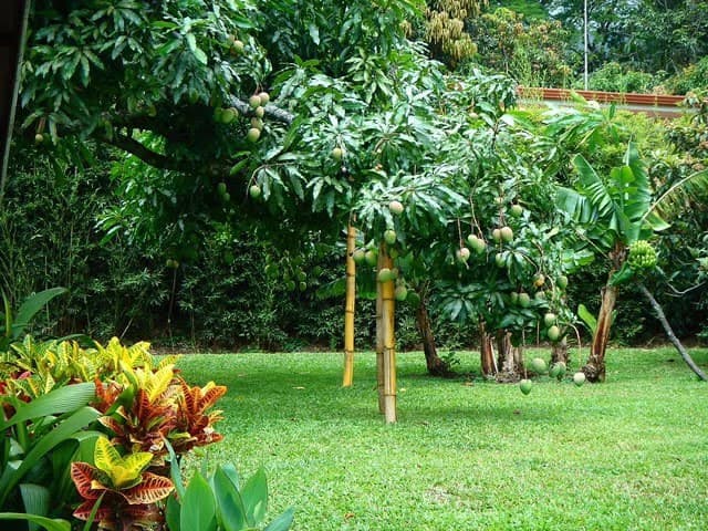 CASA DE LUJO SOBRE LAS MEJORES COLINAS DE ESCAZU: Mountain House For Sale in Escazú - photo 18