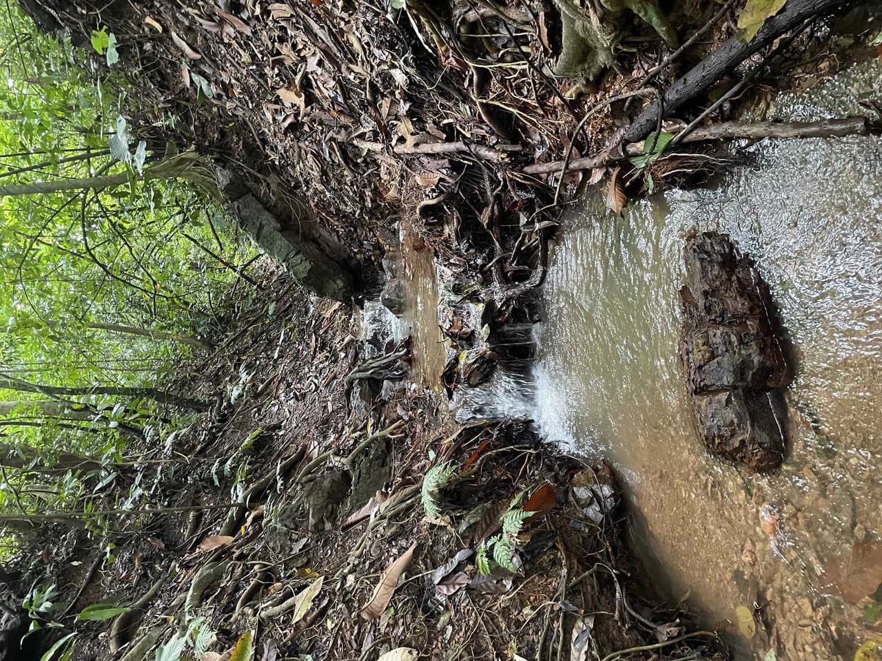 TROPICAL MASTERPIECE – 61.78 ACRES OF OCEANVIEW BLISS WITH WATERFALL: Mountain Development Parcel For Sale in Tres Rios - photo 9