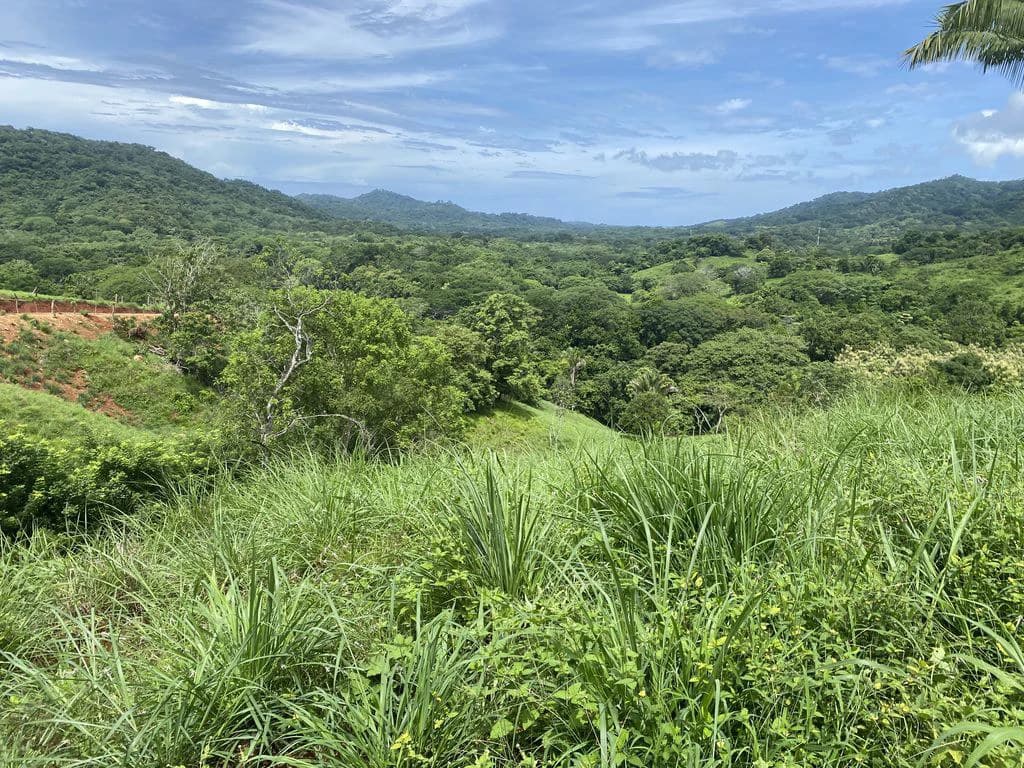 Finca Rio El Carmen: 3 HA Finca with Elevation Across from Renowned Rio Ora, 1 HA parcels available, Three 1700 m2 lots - All available in Rustic El Carmen - photo 11