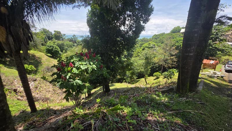Ocean View Lot in Manuel Antonio Prime Location, Walk to the Beach - photo 4