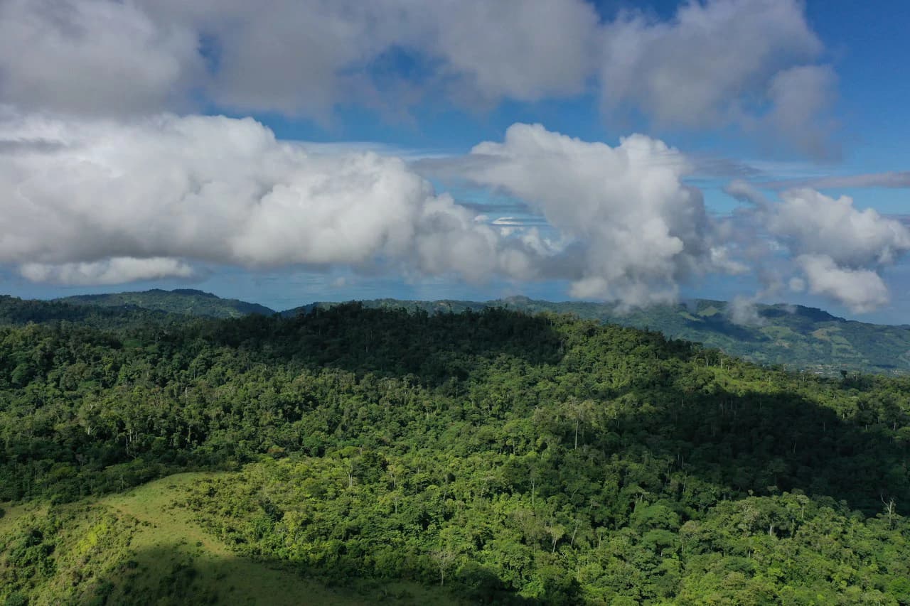 47 Acre Off Grid Ranch with Ocean & Mountain Views San Lorenzo Perez Zeledón - photo 15