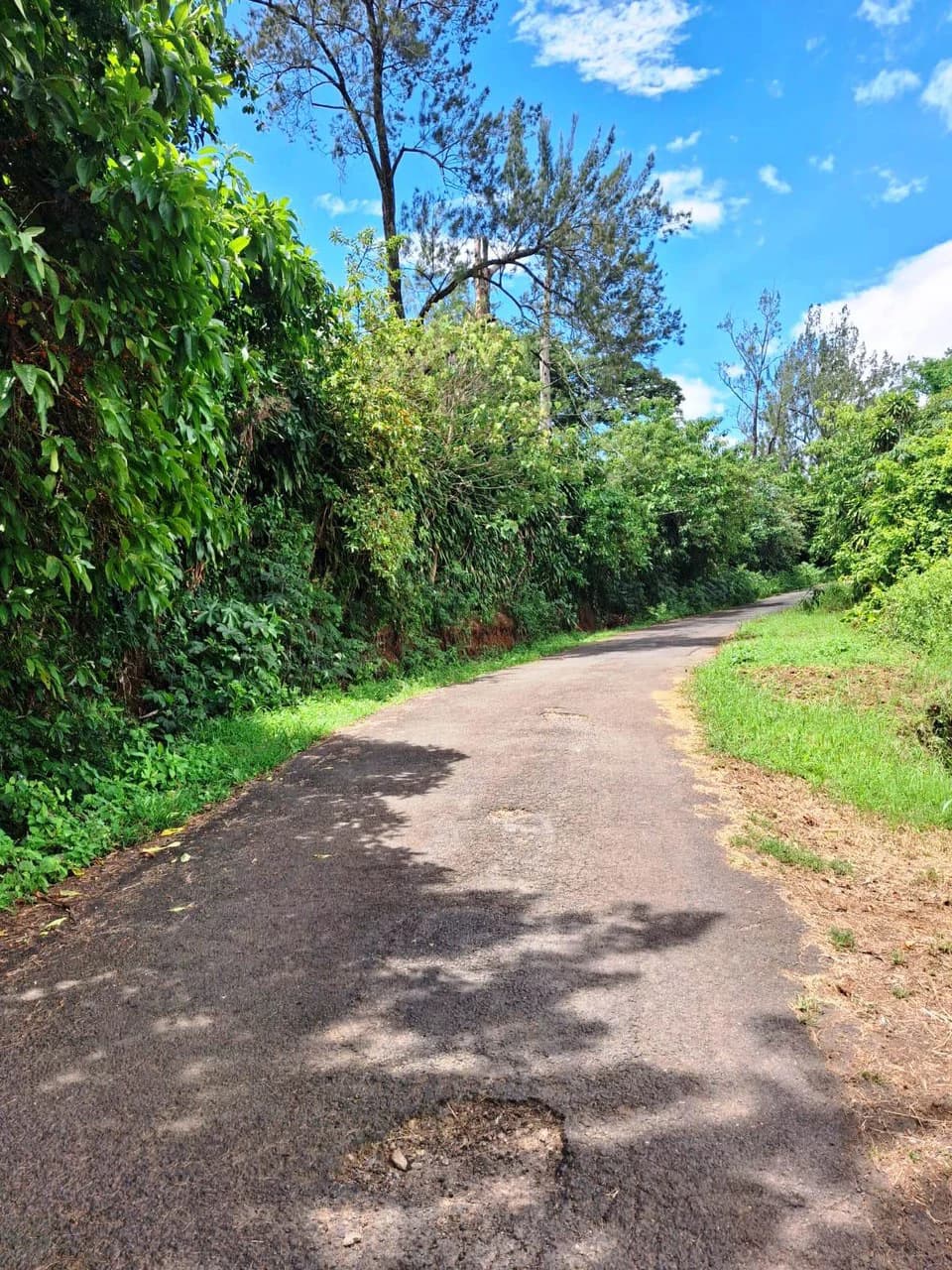 Flat and Private...Beautiful...Flat Lot close to town! - photo 2