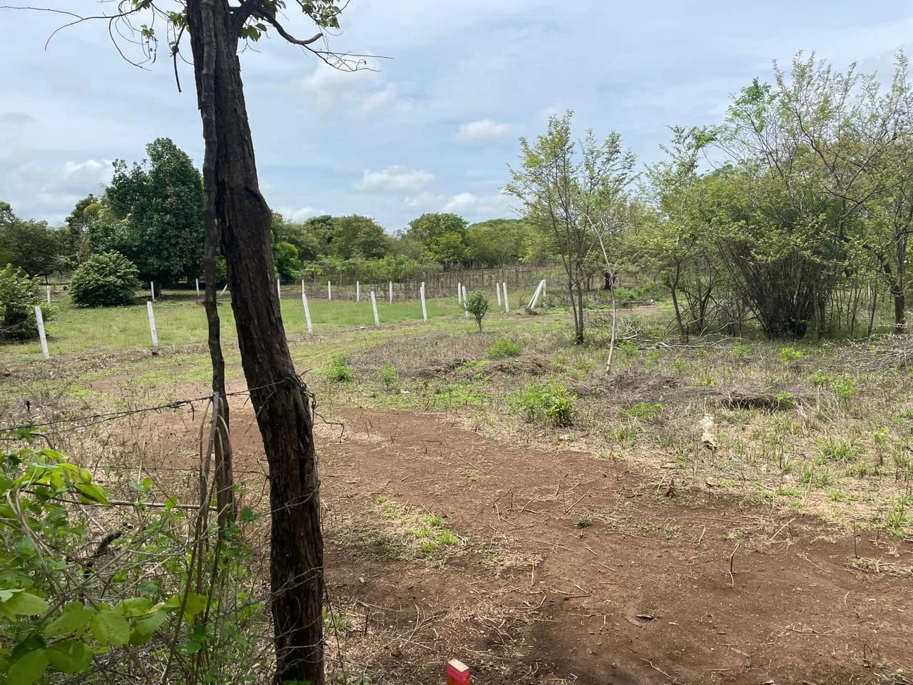BEST PRICE! For sale comercial Property for warehouses or free zone, 1 km from Liberia Airport, Guanacaste, CR - photo 4