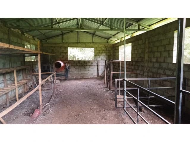 Dream Ranch for Sale with Houses and Horse Stable in Guanacaste – Great Investment Opportunity - photo 33