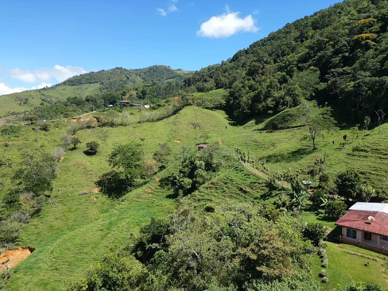Breathtaking Mountain View Estate in Chimirol, Pérez Zeledón — 1.4 Hectares of Privacy, Nature & Potential: Mountain Home Construction Site For Sale in Chimirol - photo 2