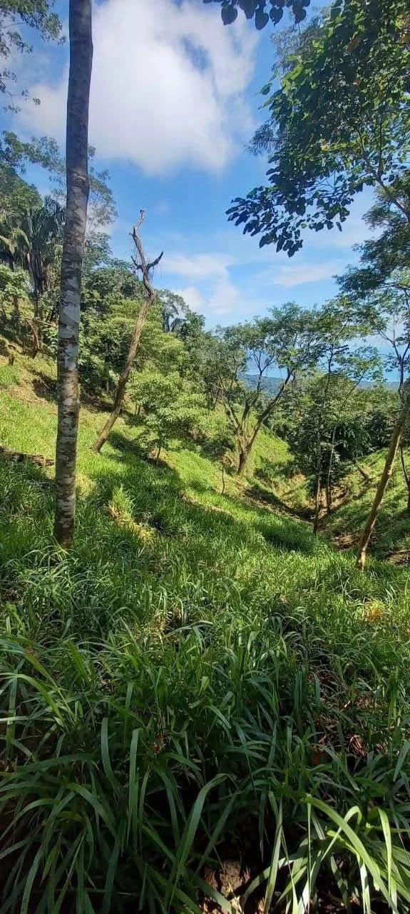 $2,200,000USD hectares: Ocean View Development Land for Sale in Tambor Costa Rica – 58 Hectares on the Nicoya Peninsula - photo 9