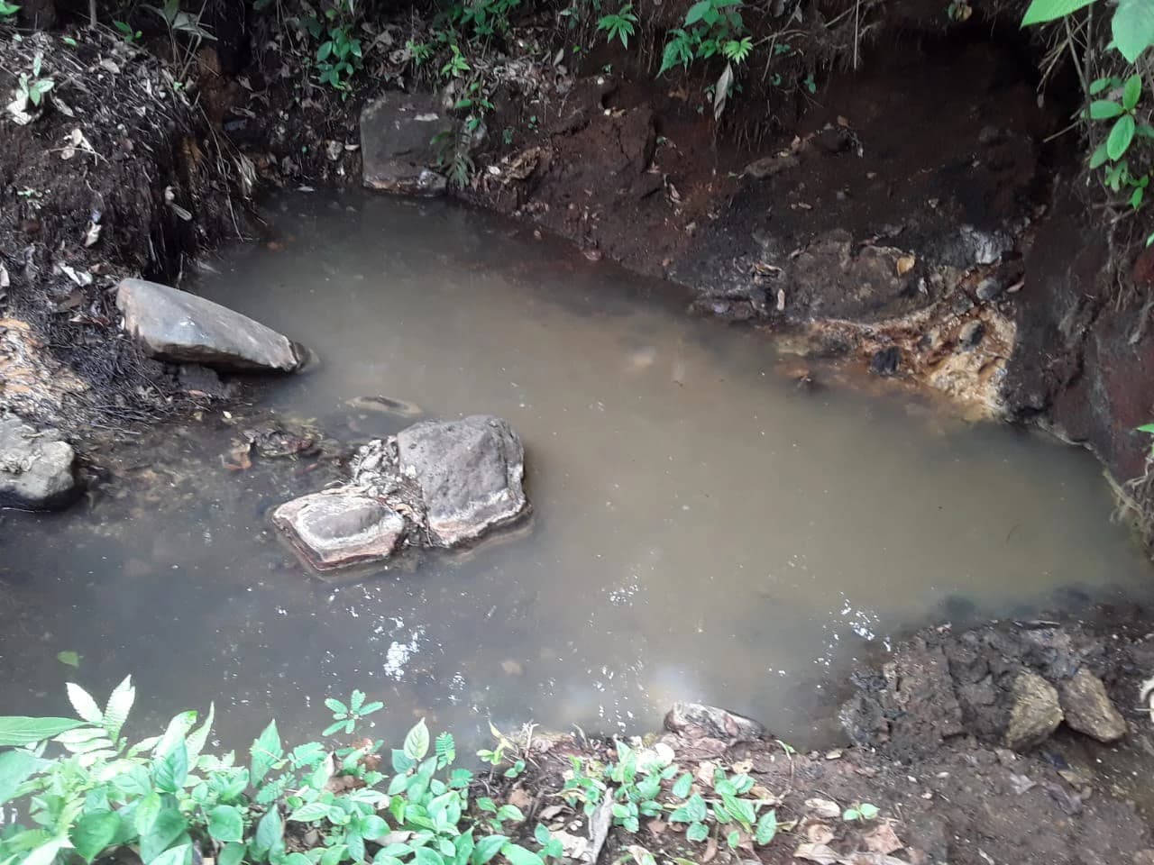 Hot Springs Property for Sale with Two Natural Hot Water Springs, Two Cold Water Creeks, and a Giant 300-Year-Old Tree - photo 5