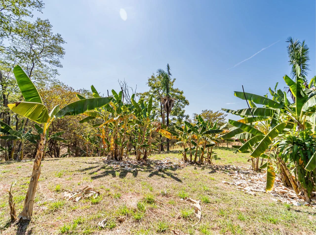Lote Camaronal Natural: Half Acre Lot Just Mins to the Surf - photo 5