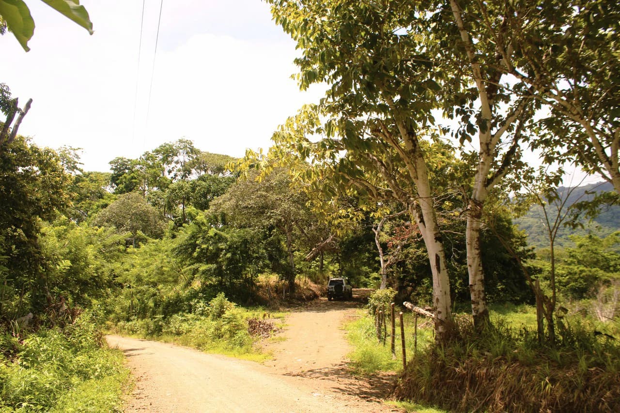 Wildlife Reserve Farm close to Ojochal - photo 14