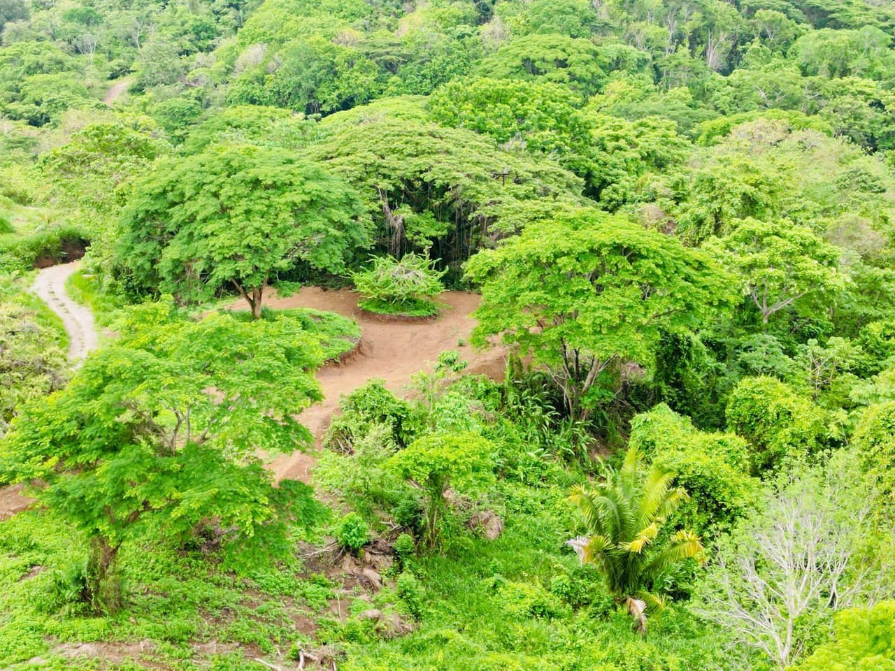 Enchanting 9,800 m² Land Surrounded by Jungle and Nature: A Peaceful Retreat Near Santa Teresa, Mal País, and Cabuya - photo 5