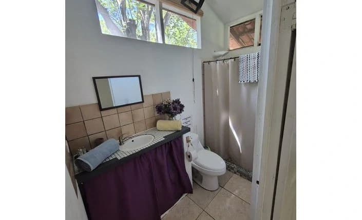 Casas Jungle: Charming Rental Compound with 5 units & pool in the heart of nature, minutes from Samara’s beaches - photo 14