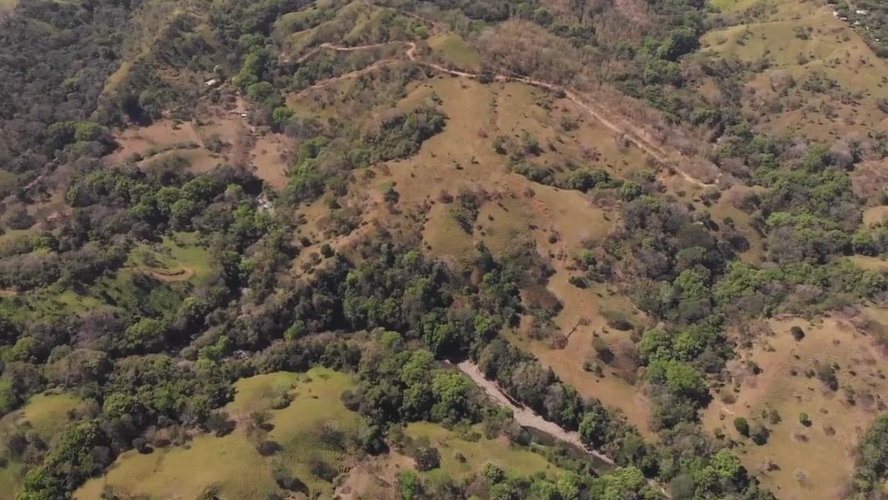 Tourism or Development?: Beautiful 56 ha with riverfront access - photo 9