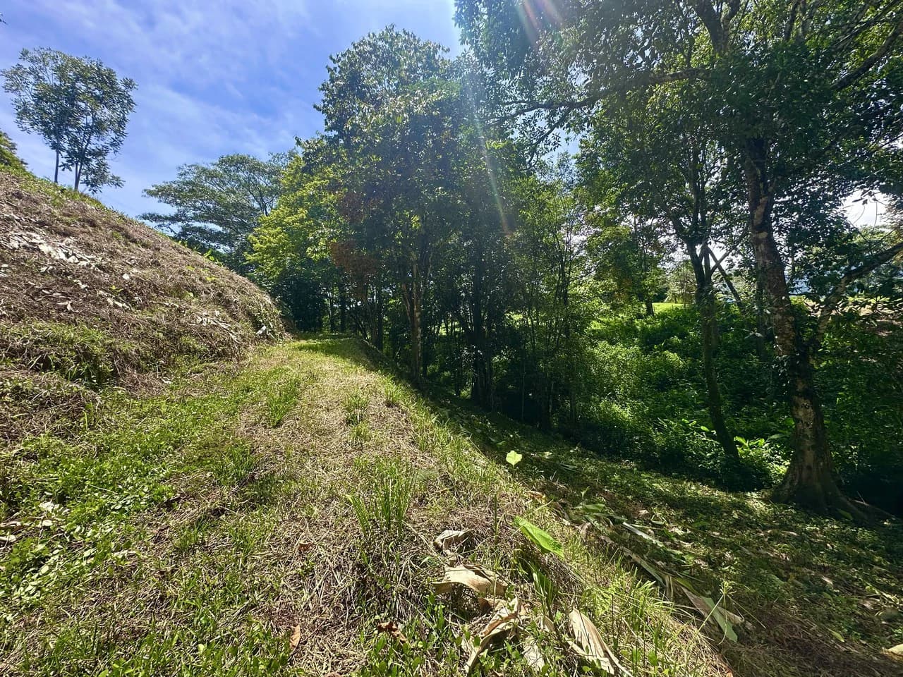 Build-Ready Lot in Ojochal’s Calle Cacique | Easy Access & Stunning Mountain Views - photo 8