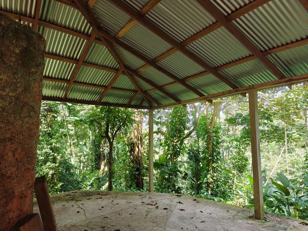 61,618m² of Land near Cahuita: With Existing Infrastructure and Ocean View - photo 9