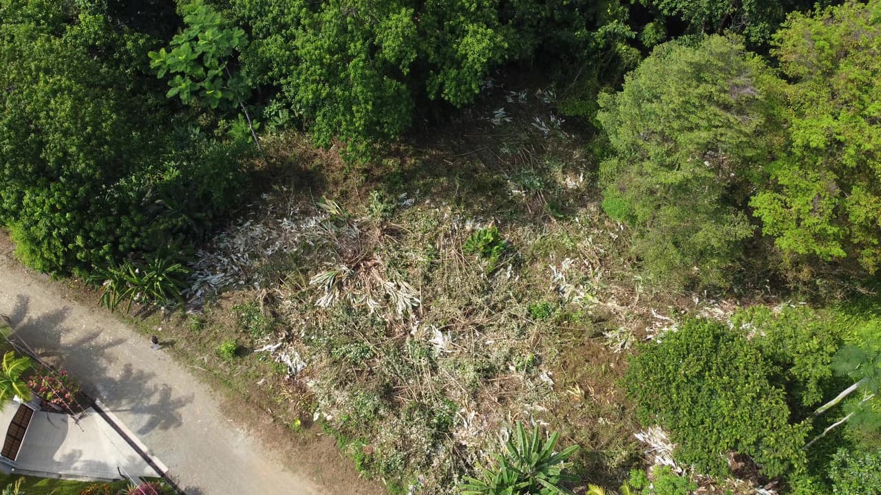 Ojochal - 1 Acre Ready To Build Jungle Lot, Ocean Breezes in Wildlife Corridore - photo 2