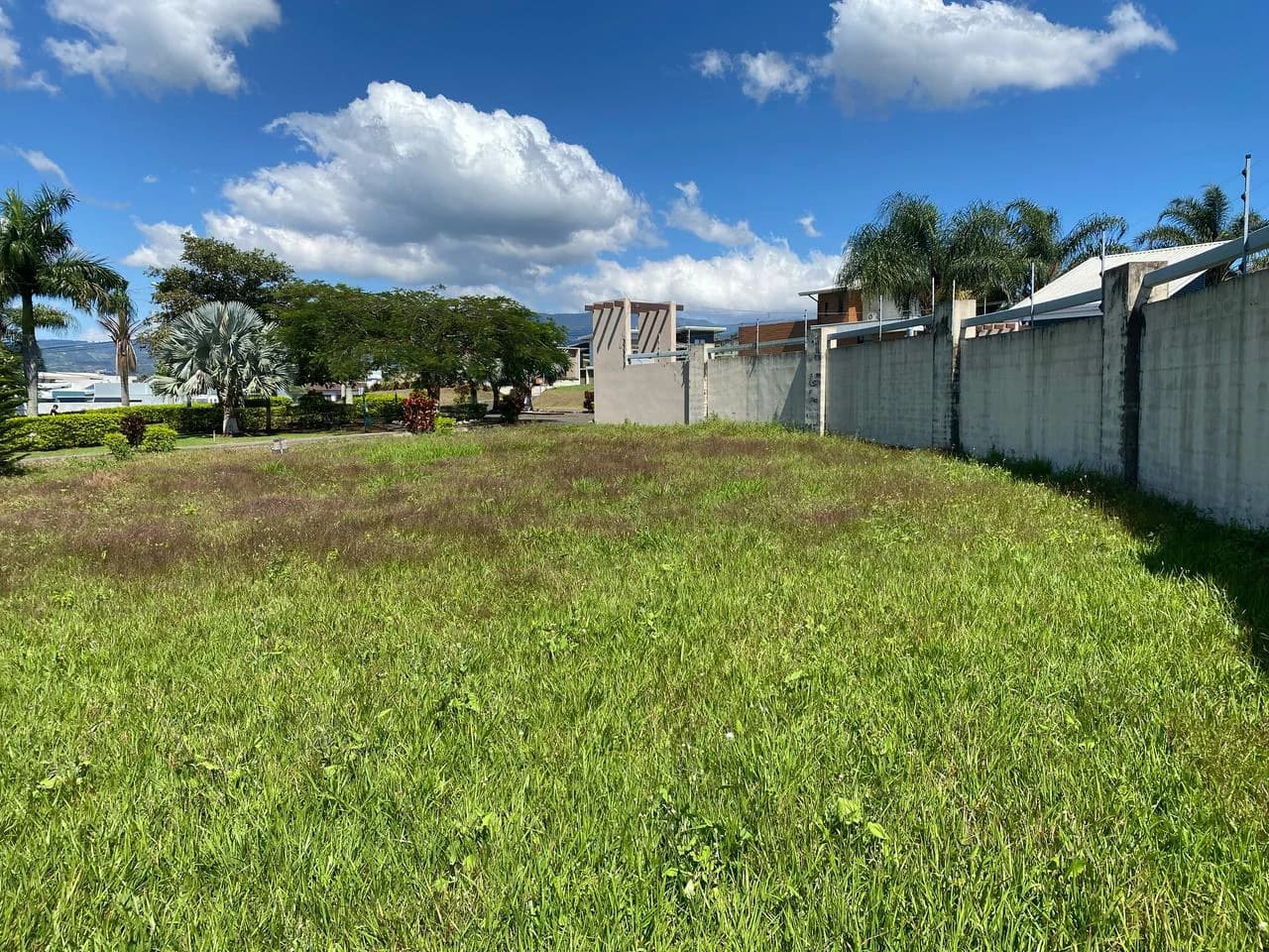 LARGE LOT FOR SALE, ALAJUELA, GREECE - photo 6