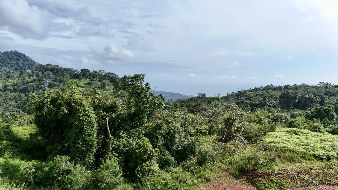 Off-Grid Ocean View Lot | 1.7 Acres in Las Nubes Matapalo Hills - photo 14