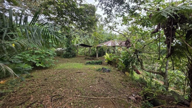 116-Hectare Finca for Sale Near Uvita with Whales Tail Views and 10 Waterfalls | La Faralla, Bahia Ballena, Uvita, Puntarenas, Costa Rica - photo 61