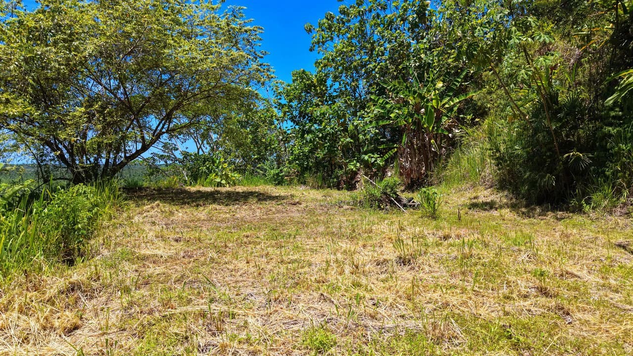 Near the Coast Home Construction Site For Sale in Ciudad Cortés - photo 17