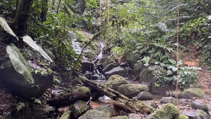 116-Hectare Finca for Sale Near Uvita with Whales Tail Views and 10 Waterfalls | La Faralla, Bahia Ballena, Uvita, Puntarenas, Costa Rica - photo 76