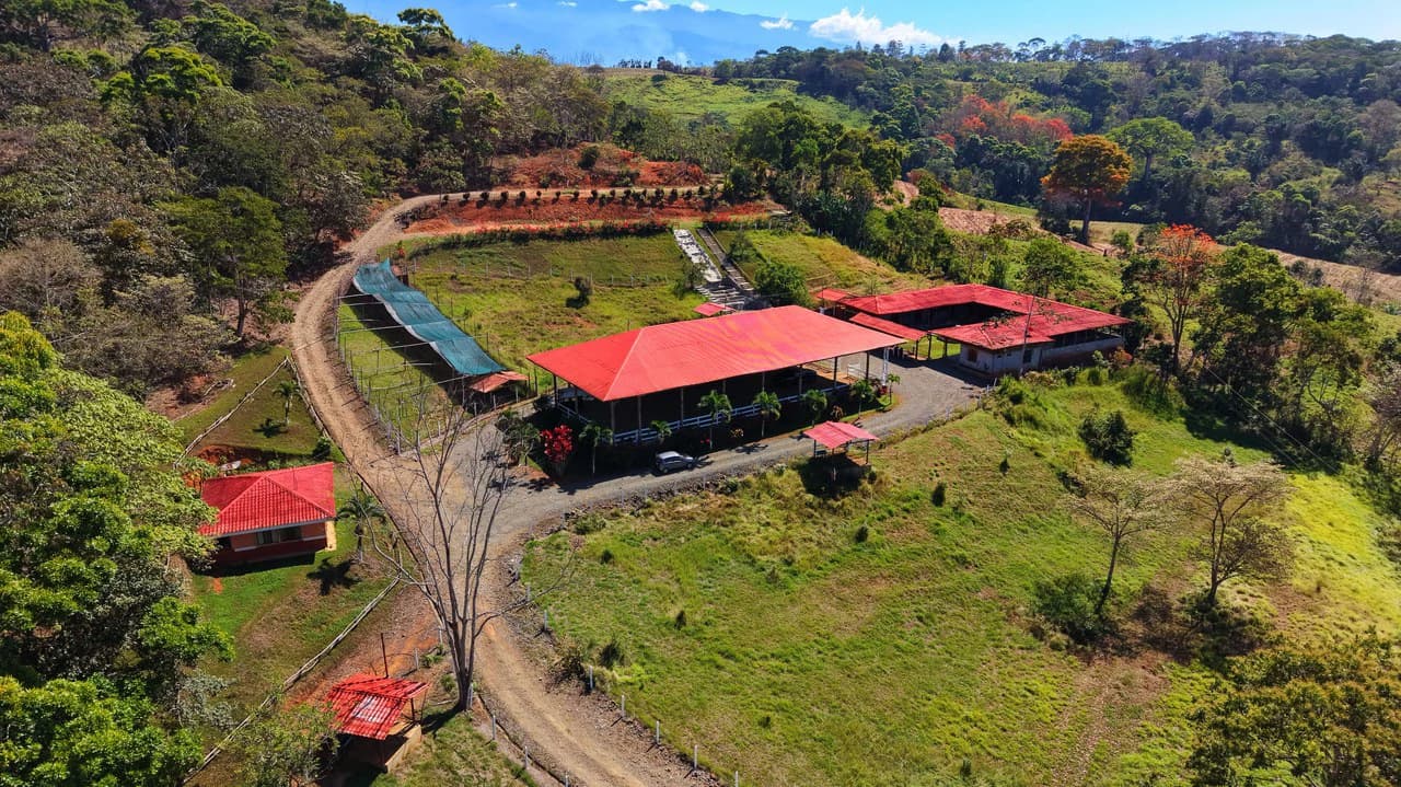 Agricultural Land For Sale in Daniel Flores - photo 33