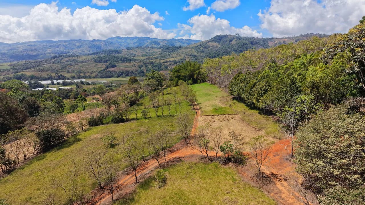 Agricultural Land For Sale in Daniel Flores - photo 12