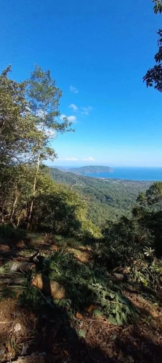 $2,200,000USD hectares: Ocean View Development Land for Sale in Tambor Costa Rica – 58 Hectares on the Nicoya Peninsula - photo 3