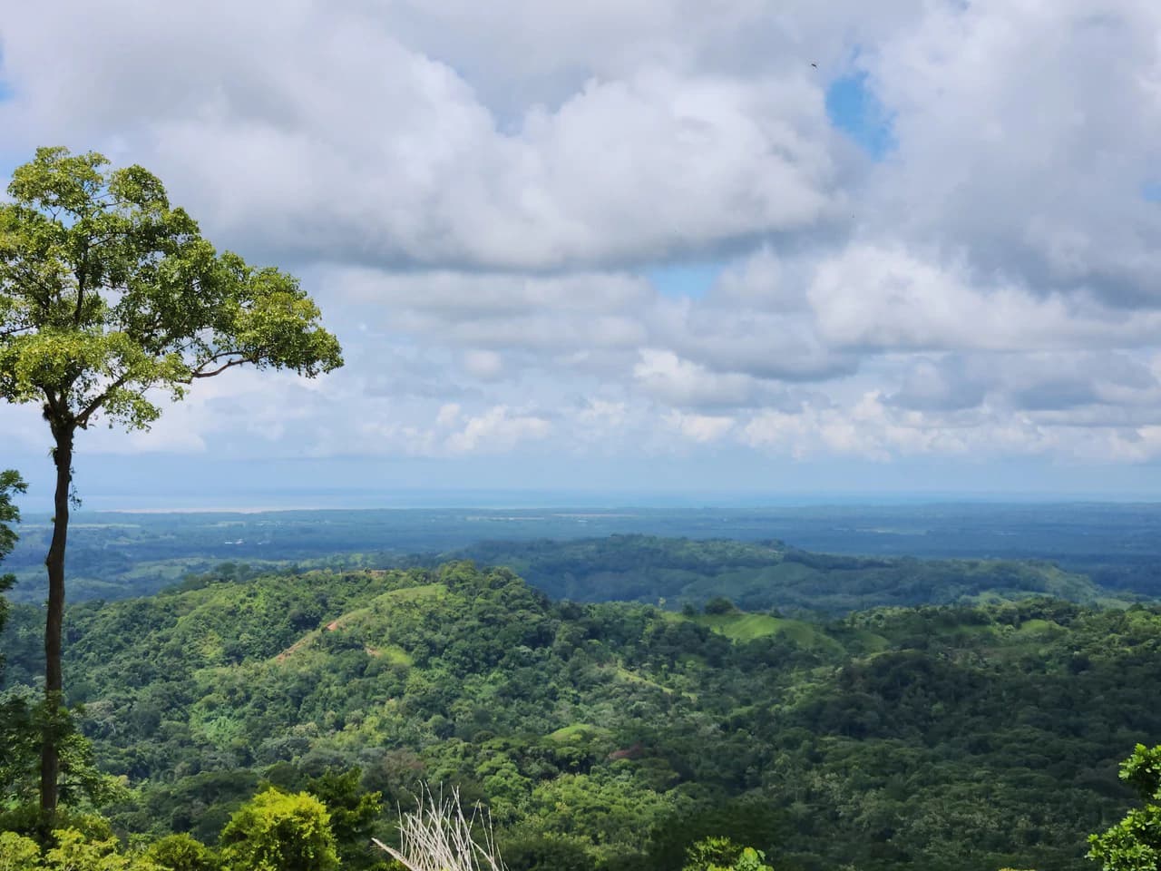 PRIME PARRITA FARM FOR SALE - photo 33