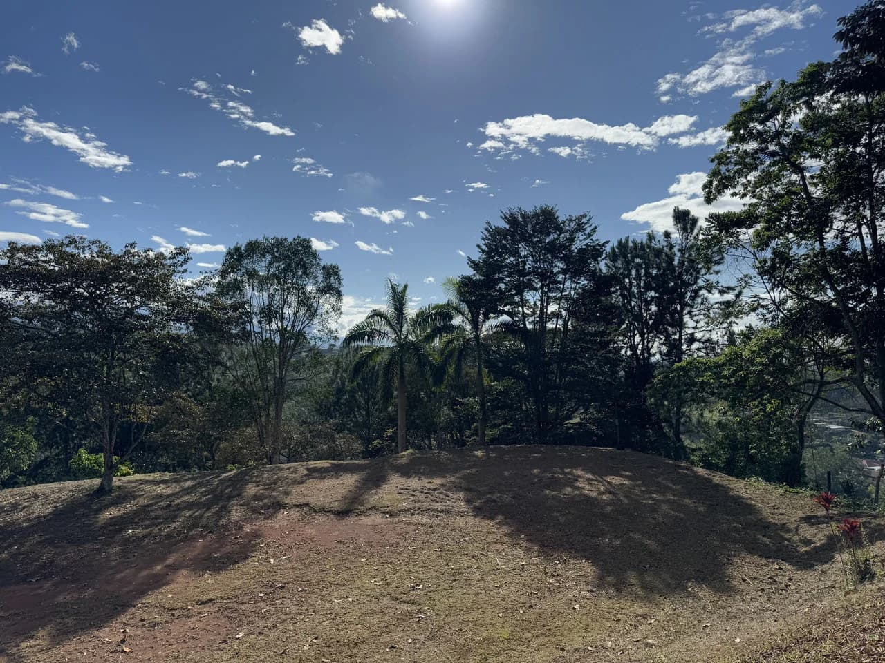 Stunning 2.4 Acre Property in Quebradas San Isidro del General - photo 19