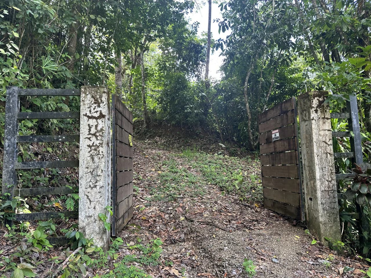 Ocean View Estate Lot with Private Waterfall – Uvita - photo 25