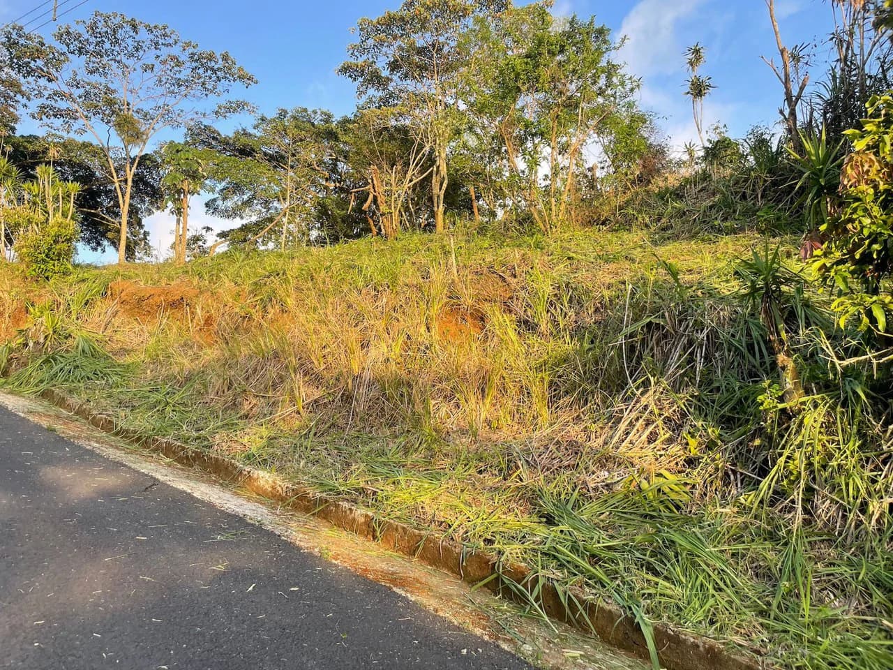 Eco-Lot #15: Ready-to-Build Sustainable Haven with Gulf & Mountain Views - photo 9