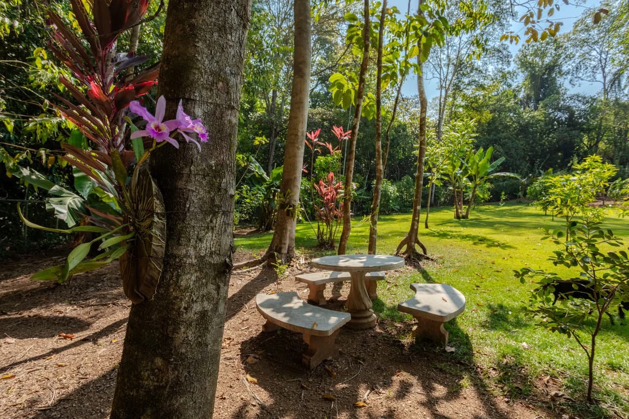 Custom Built Luxury Retreat with Guest Villas in Ojochal - photo 92