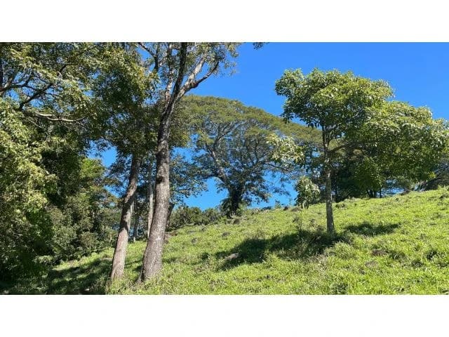 Nature Paradise Farm for sale in the mountains of Quebrada Grande, Building potential property 30 minutes away from Liberia - photo 5
