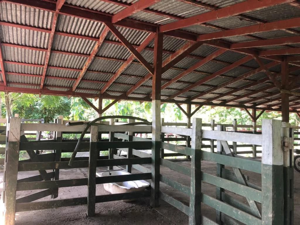 Teak Farm for Sale with a Hacienda Villa and 3 houses in La Cruz, 1 hour away from Liberia - photo 17