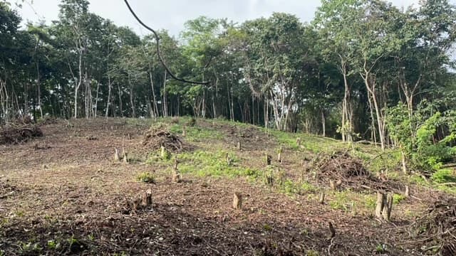 Beautiful Property for Sale in the Mountains of San Juanillo – Prime Land with Building Potential Just 10 Minutes from the Ocean - photo 22