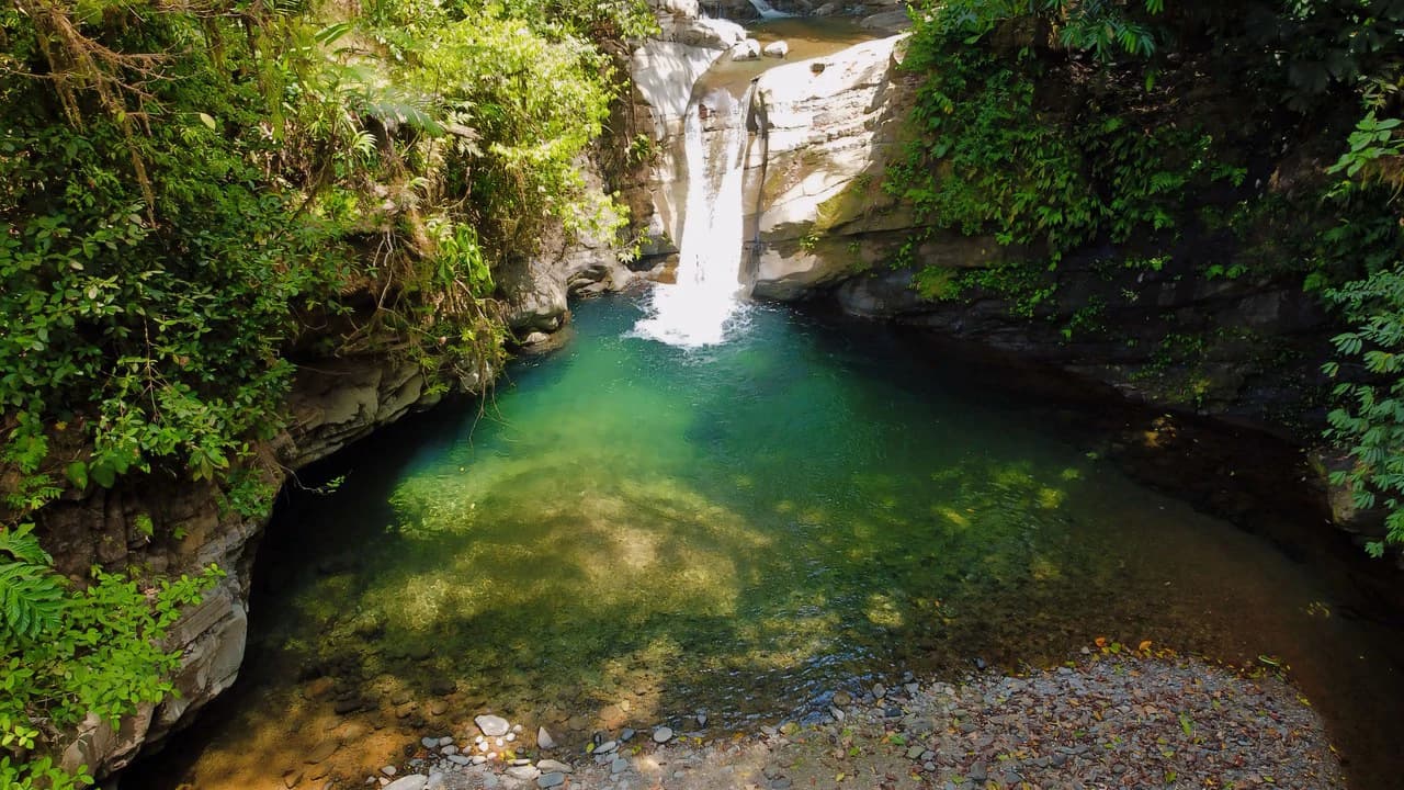 FINCA CERRO DEL TIGRE! OVER 20 ACRES OF PRIMARY FOREST AND WATERFALLS.: Mountain Agricultural Land For Sale in La Unión - photo 6