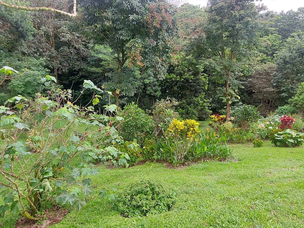 VILLA ESPERANZA - Natures Haven on Earth - photo 34