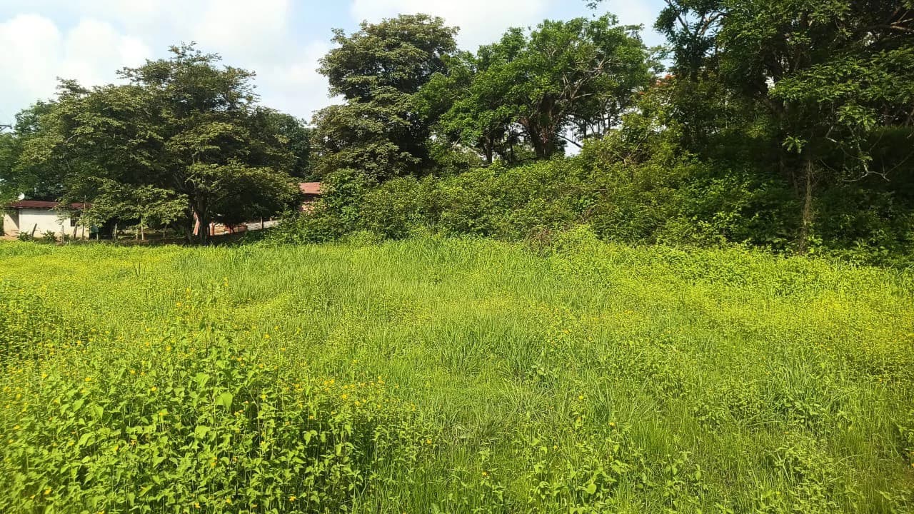 Airport Liberia property with very wide direct frontage on High - Traffic Route 21 to the Beaches - photo 6