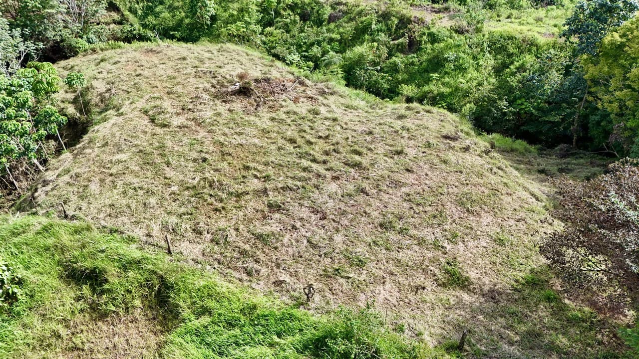 Off-Grid Ocean View Lot | 1.7 Acres in Las Nubes Matapalo Hills - photo 7