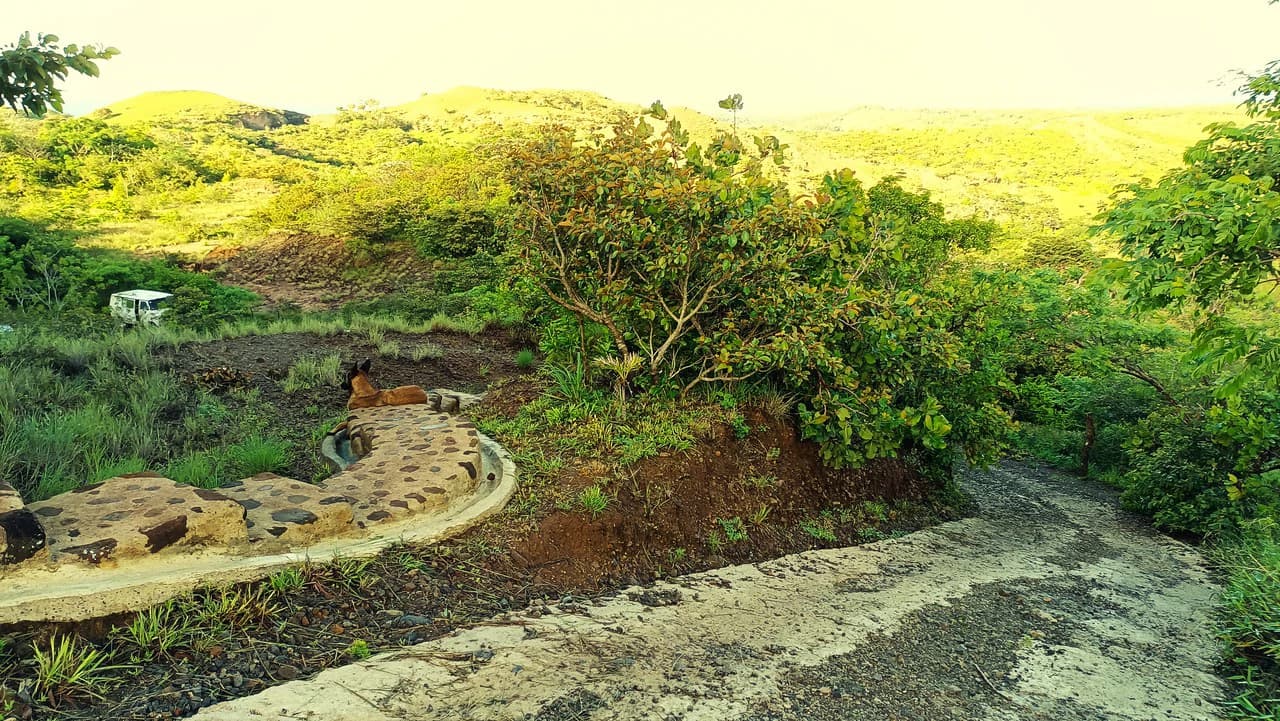 Hill top house with amazing sunset views GB0125: Peaceful Retreat with developing Potential: Property with 2 Homes and Panoramic Views in Guayabo de Bagaces - photo 25