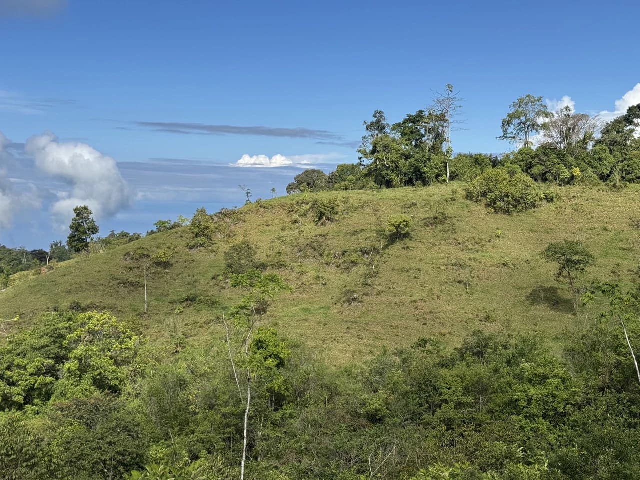 47 Acre Off Grid Ranch with Ocean & Mountain Views San Lorenzo Perez Zeledón - photo 26